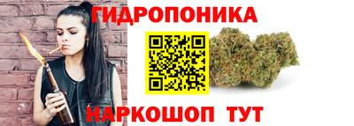 индика Новодвинск
