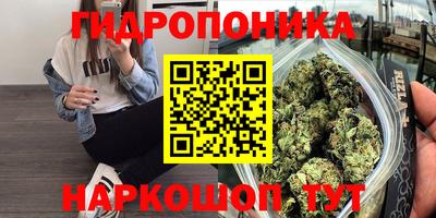 СК Нальчик