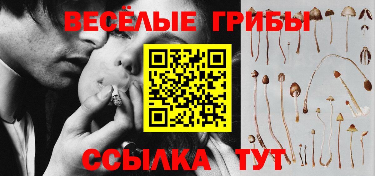 Татарск  Псилоцибиновые грибы прущие грибы  Вход с VPN  Псилоцибиновые грибы MAGIC MUSHROOMS 